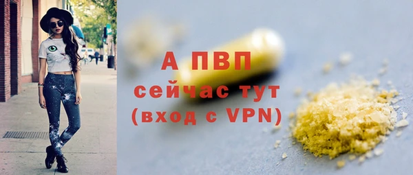 стафф Арсеньев