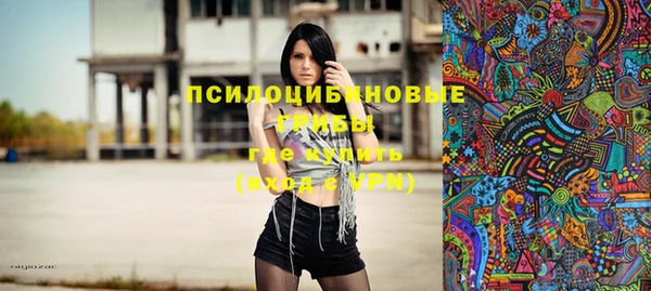 трава Аркадак