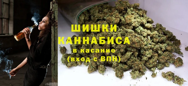 трава Аркадак