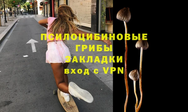 стафф Арсеньев