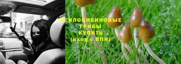 стафф Арсеньев