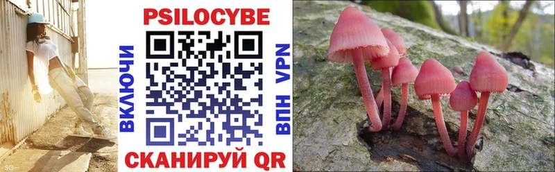 Галлюциногенные грибы GOLDEN TEACHER  Каменск-Уральский 