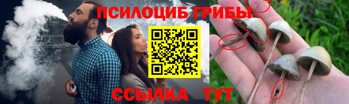 Псилоцибиновые грибы MAGIC MUSHROOMS Каменск-Уральский
